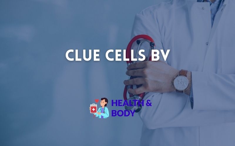 Clue cells bv